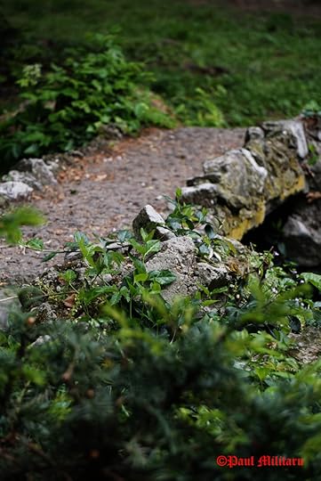 path on bridge