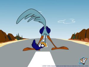 Road runner