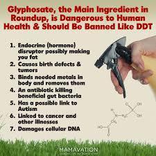 roundup