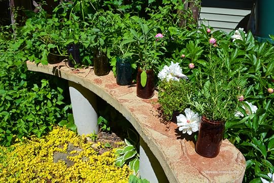 Mason Jar Garden in Sunshine