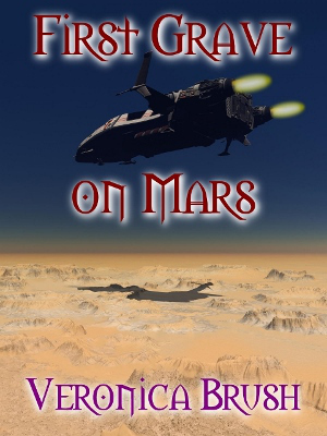 Bookcover (480x640) (300x400)