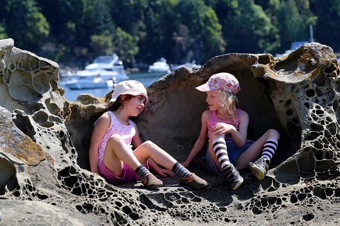 Photo: How to get to know nature