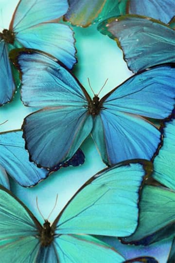 cerulean2