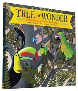 tree of wonder