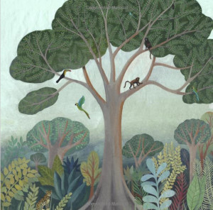 rainforest book