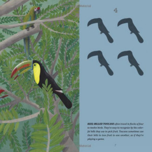 rainforest book