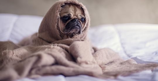 Do you work with someone like this?