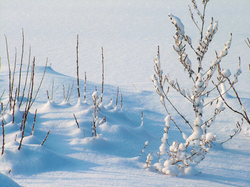 winter-234721_960_720