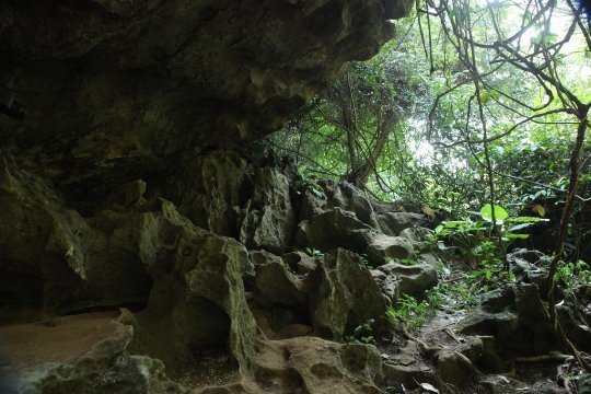  photo 513282._SX540__zpsug4lwx1o.jpg