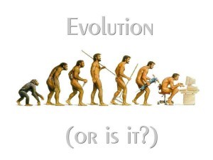 human evolution