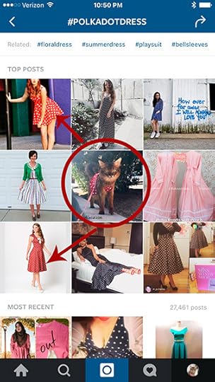 Instagram polkadotdress hashtag page
