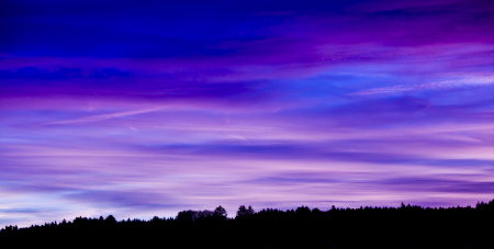 The Violet Hour