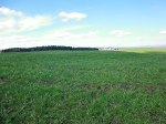Primrose Hill Earthwork, near Gisburn, Lancashire