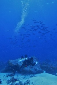Tutus Wijanarko meneliti ikan kawin! (foto: Taufik Abdillah)