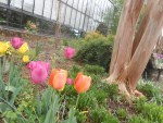 DSCN2647