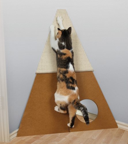 Bootsies-corner-scratcher