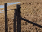 Upper Dwyer Hill