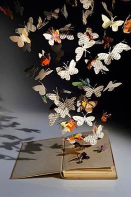 11954625_1030504263649807_8529285333686329095_n