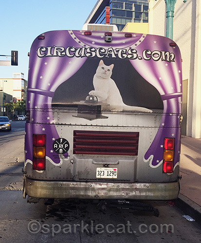 Acro-cats tour bus - back