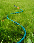 hose-pipe-1624399