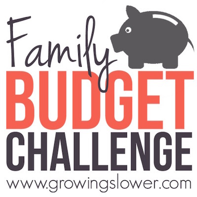 The Family Budget Challenge: A resource from The Ultimate Homemaking Bundle of 2016! 