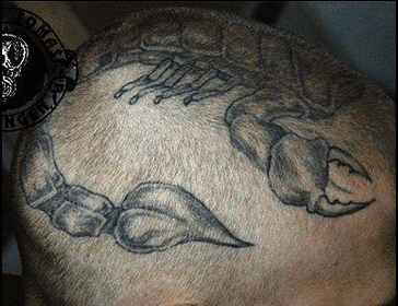grey-ink-scorpio-tattoo-on-head