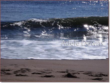 lewesbeachsigned