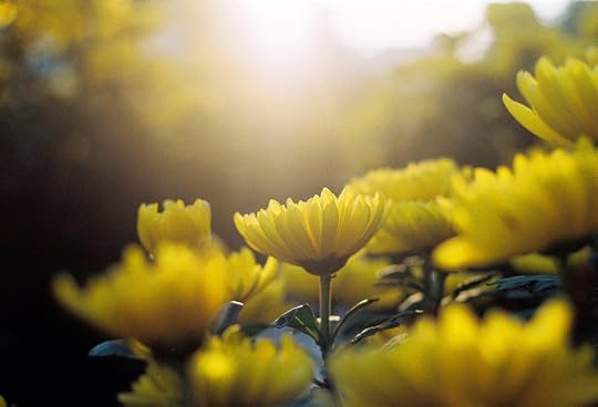 6774808573_ca3a759623_z