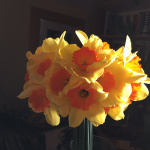 daffs