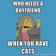 cat lady meme