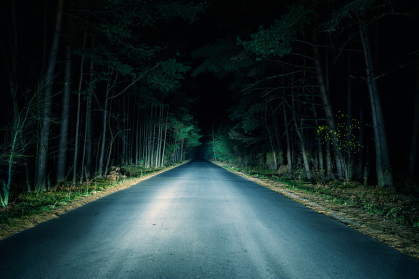 Night road cutting through dark wooded setting, illuminated by headlights