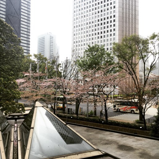 View from the 2nd floor lounge