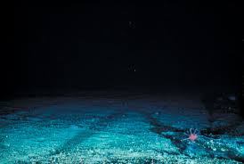 twothousandfeetunder