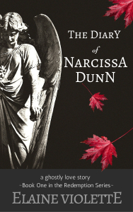 The DiarY (2)-1
