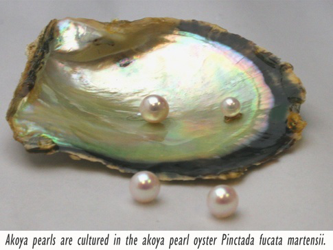 main-qimg-a9c3754f35eeae53cbc8ba60b571b9bc