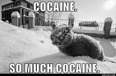 03082018c48b4e15f31d40b01187884b.jpg (236×155)