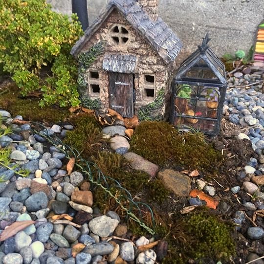 Small house with a greenhouse. A mossy front yard, and a thyme