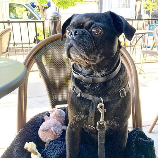 12976269_1154444544588477_463125635_n