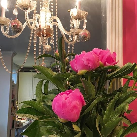 13126830_1761785370732463_95236459_n