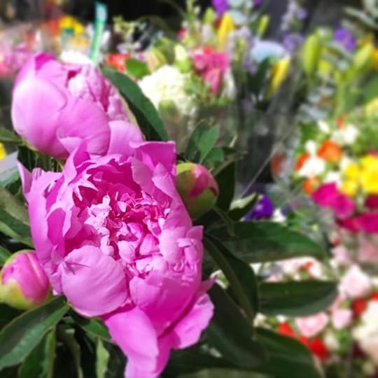 13129880_707805015989024_1711640000_n