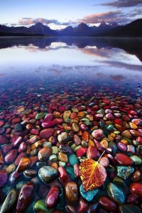 pebble shore lake montana