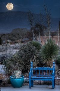 new mexico moonlight