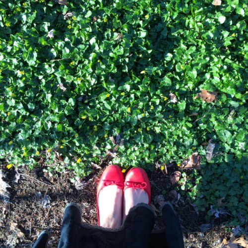 Changeling Shoes Photo