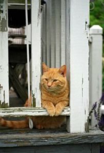 eec9af10142b21064834b9104ecba5b7