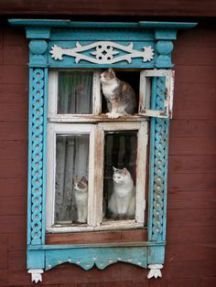 a47e89f6efbd210b86e6a89a93aaa508