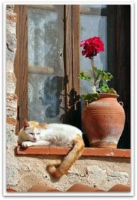 062b53683dd613c8d3c55f6a72736350