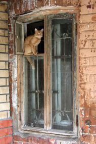 7ff4820e844be8de9d1f204c56aa0303