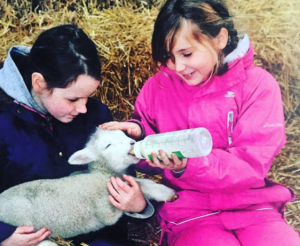 The Menace and her buddy bottle feeding a lamb