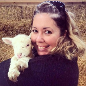 Lovely ickle lamb!
