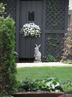 RabbitGardenFlowersMarblehead